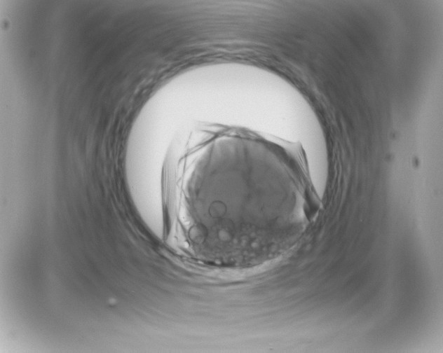 X0000085230031200704092009