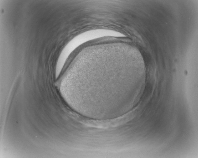 X0000085230033200704092009