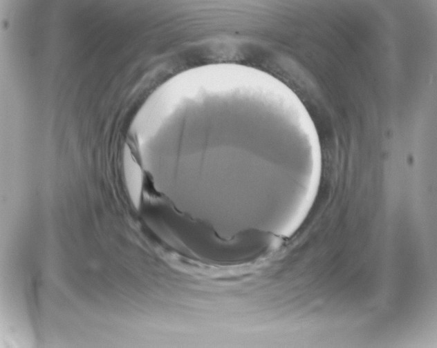 X0000085230035200704092009