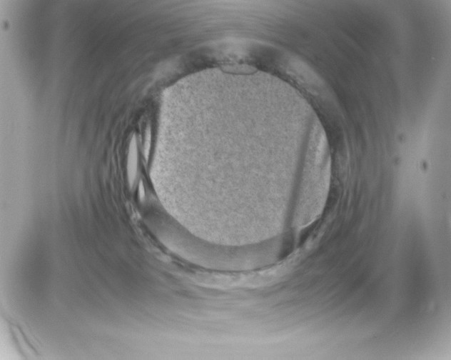 X0000085230037200704092009