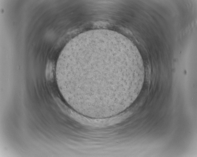 X0000085230038200704092009
