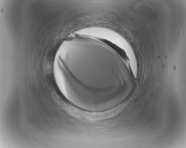 X0000085230039200704092009