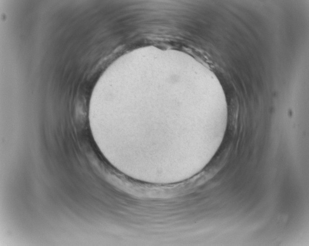 X0000085230040200704092009