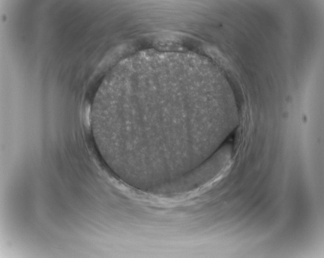 X0000085230041200704092009
