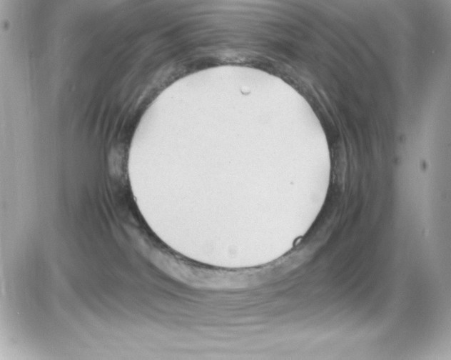 X0000085230044200704092009