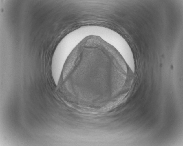 X0000085230045200704092009