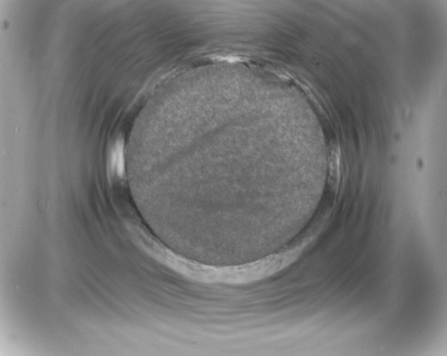 X0000085230046200704092009
