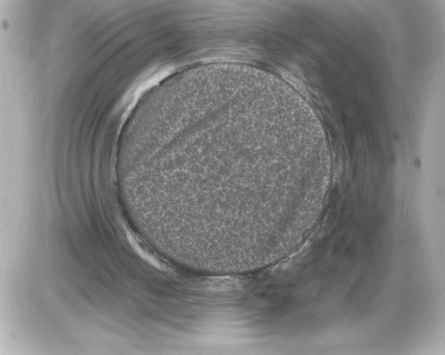 X0000085230050200704092008