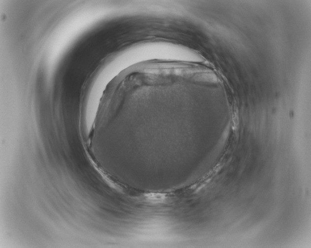 X0000085230052200704092008