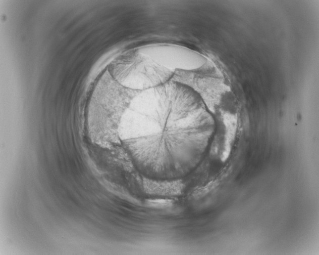 X0000085230053200704092008