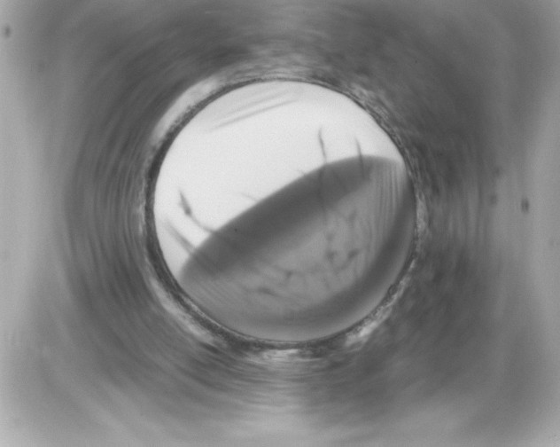 X0000085230054200704092008