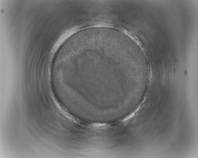 X0000085230055200704092008