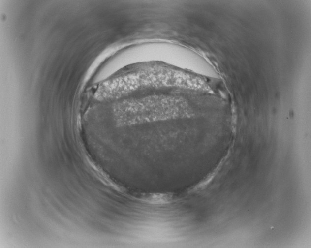 X0000085230056200704092008