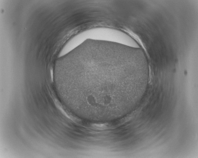 X0000085230061200704092008