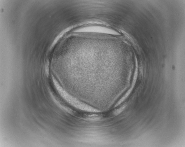 X0000085230064200704092008