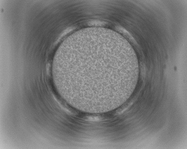 X0000085230071200704092008