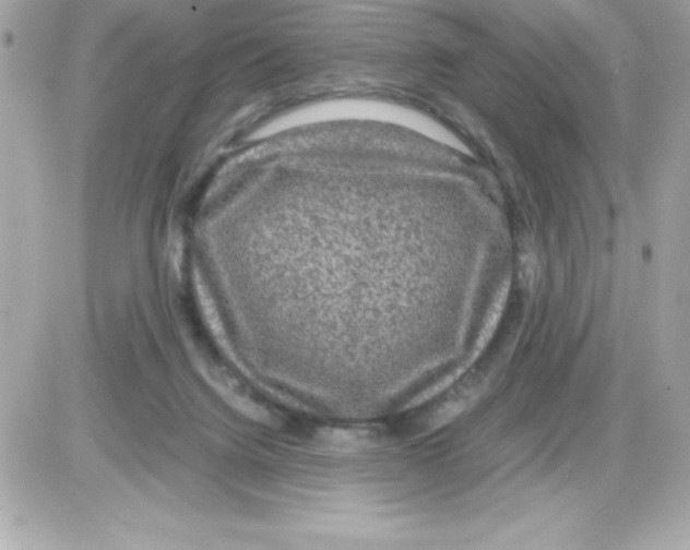 X0000085230072200704092008