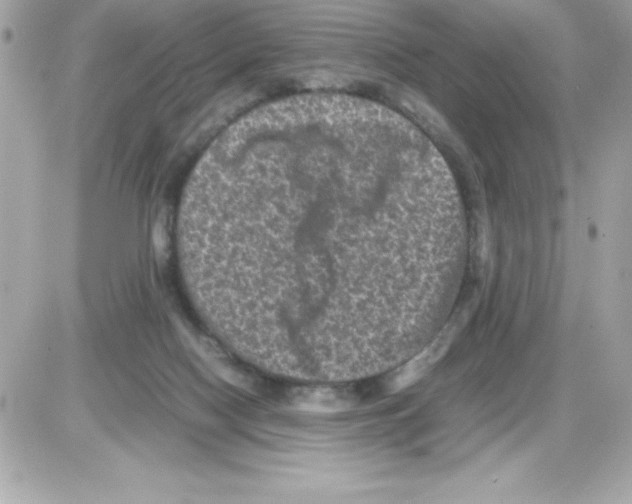 X0000085230074200704092008