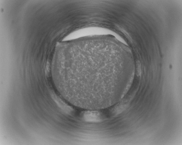X0000085230077200704092008