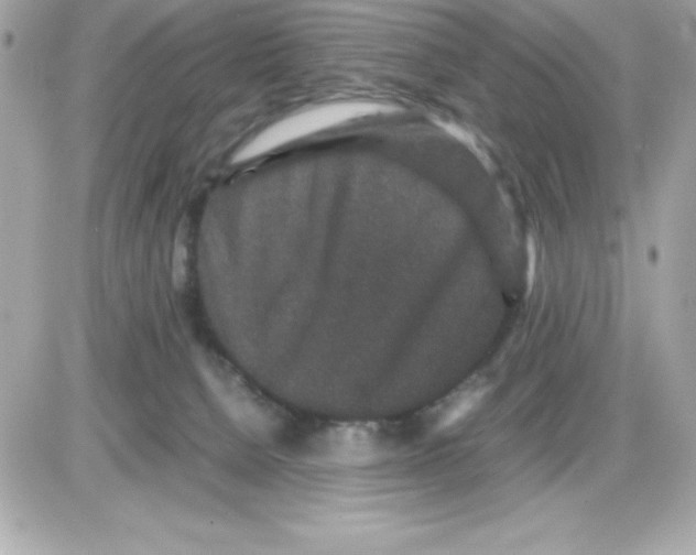 X0000085230080200704092008
