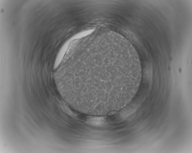 X0000085230081200704092008