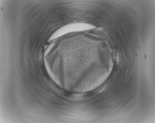 X0000085230084200704092008