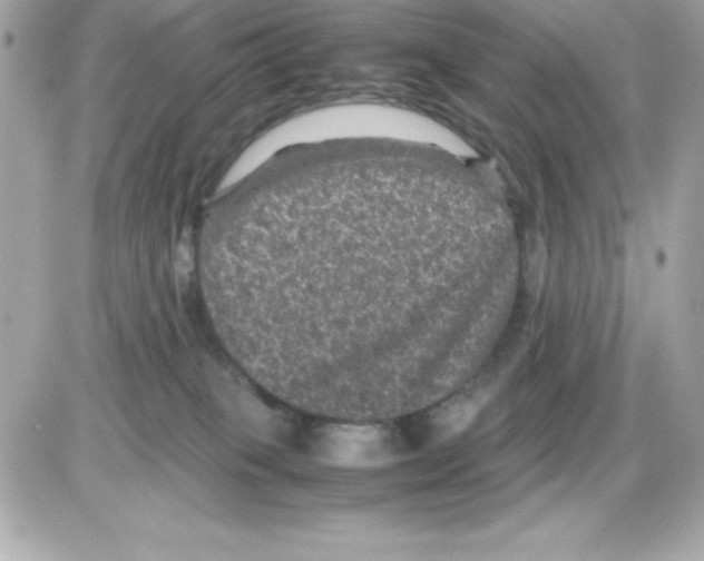 X0000085230085200704092008