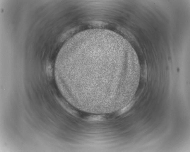 X0000085230086200704092008
