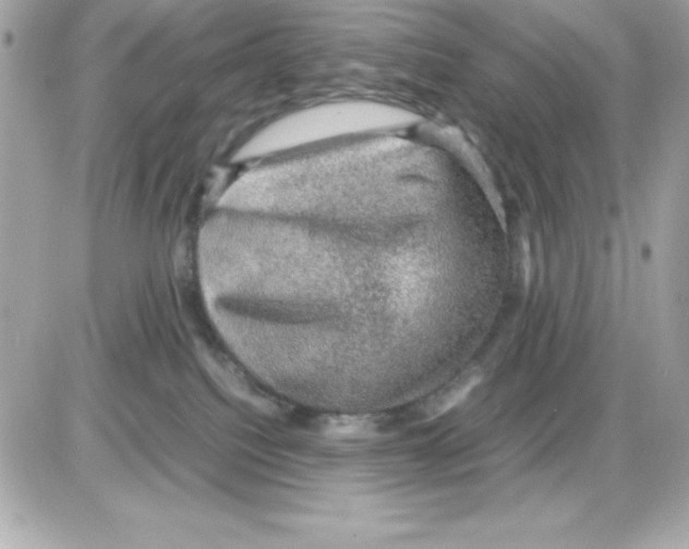 X0000085230088200704092008