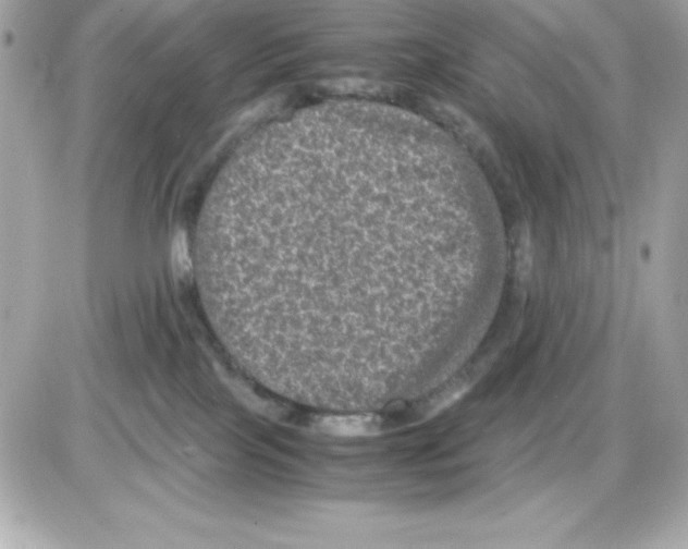 X0000085230089200704092009