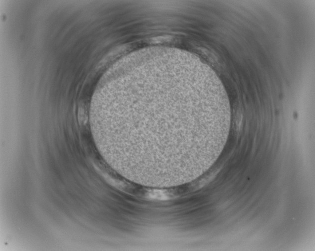 X0000085230091200704092009