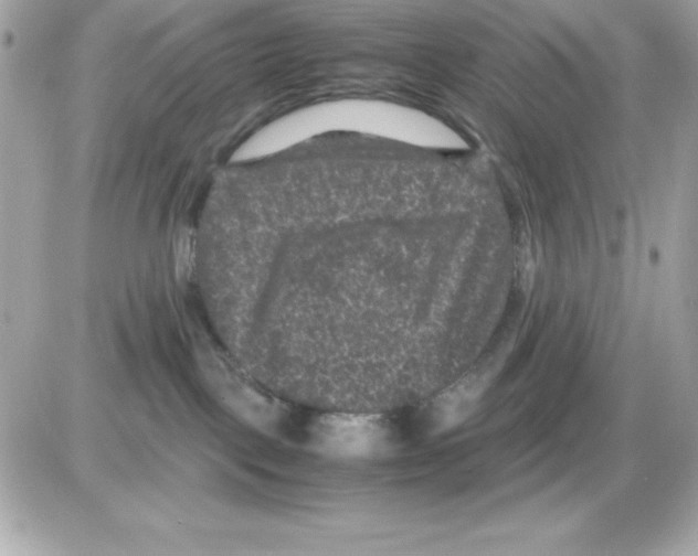 X0000085230093200704092009