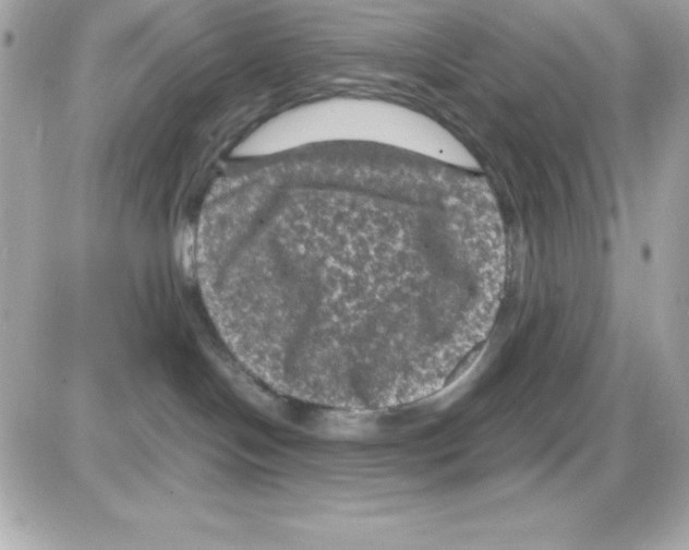 X0000085230094200704092009