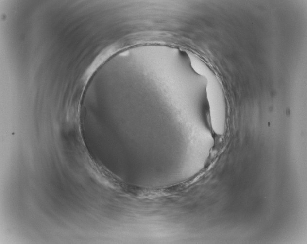 X0000085230099200704092008