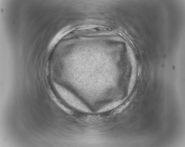X0000085230101200704092008