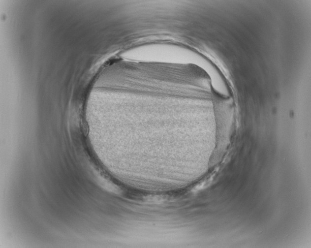 X0000085230105200704092008