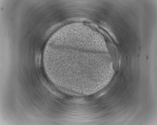 X0000085230110200704092008
