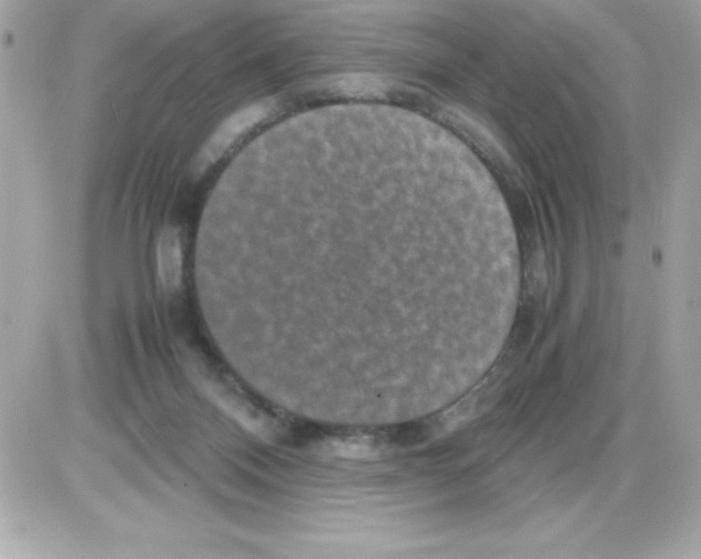 X0000085230120200704092007