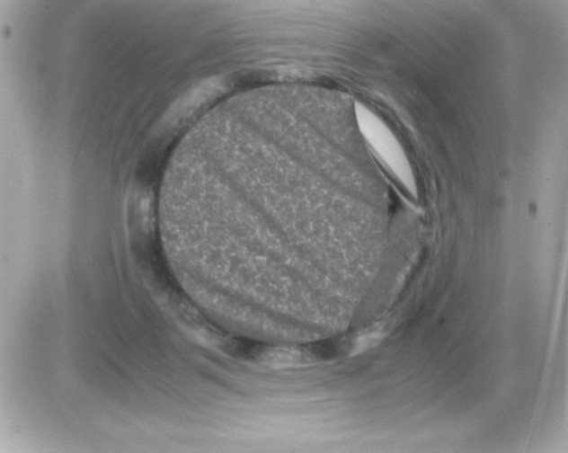 X0000085230123200704092007