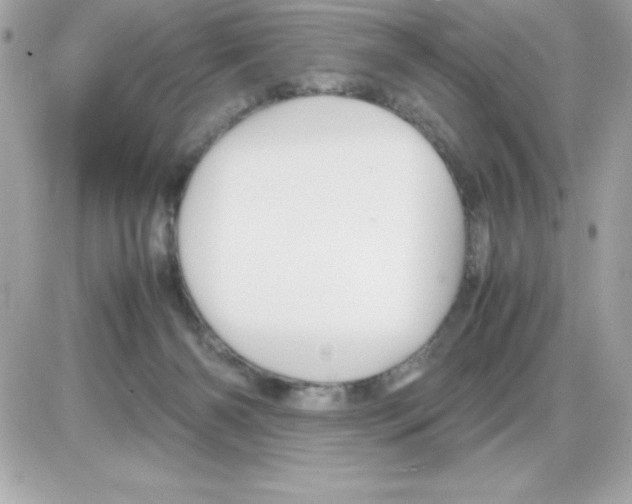 X0000085230126200704092007