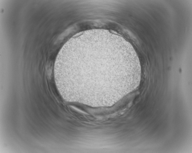 X0000085230129200704092007