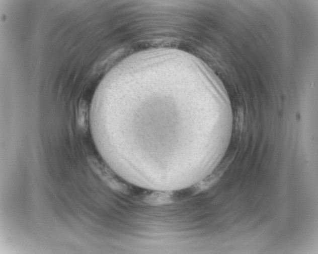 X0000085230138200704092007
