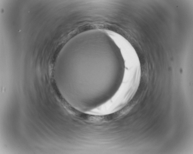 X0000085230139200704092007