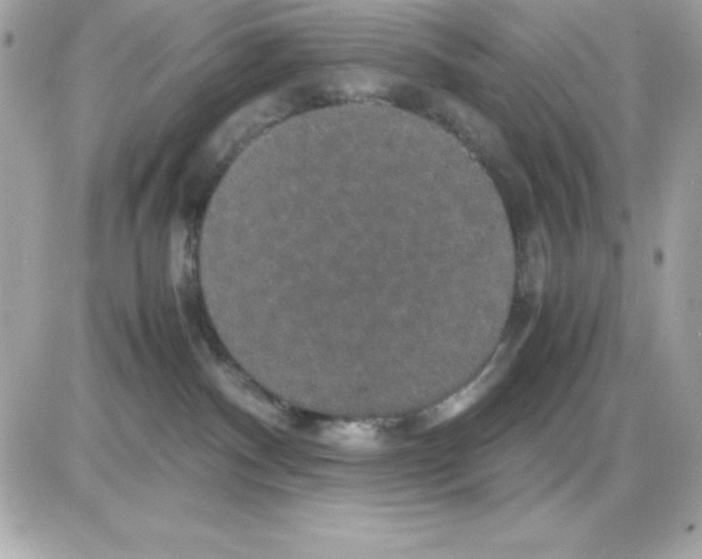 X0000085230140200704092007