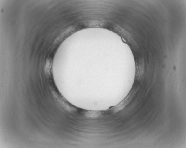 X0000085230142200704092007