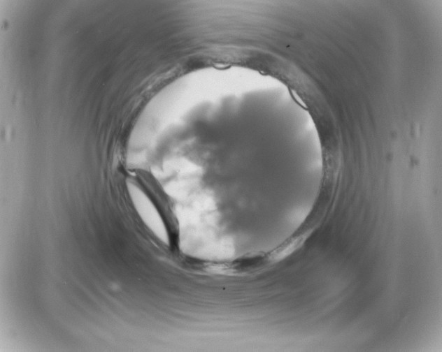 X0000085230143200704092007