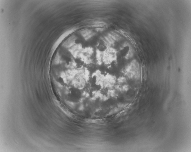 X0000085230147200704092006