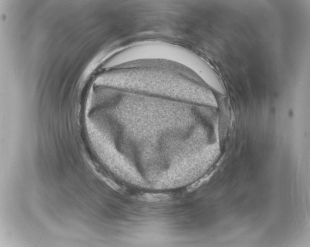 X0000085230150200704092006