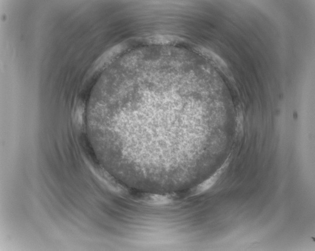 X0000085230166200704092007