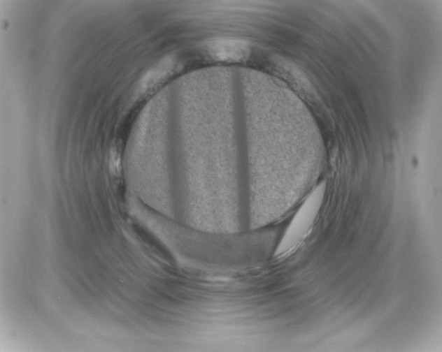 X0000085230176200704092007